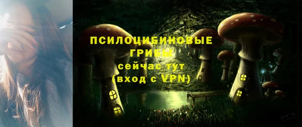 марки lsd Каменногорск