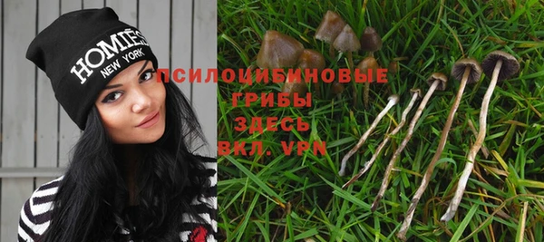 таблы Ессентукская