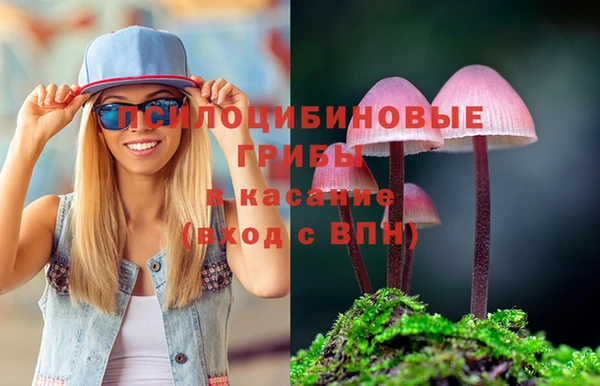 марки lsd Каменногорск