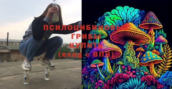 марки lsd Каменногорск
