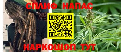 молекула духа Гатчина