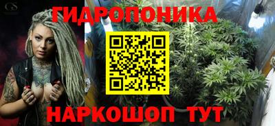 молекула духа Гатчина