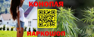 молекула духа Гатчина