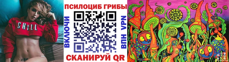 Псилоцибиновые грибы Psilocybe  blacksprut вход  Кандалакша 