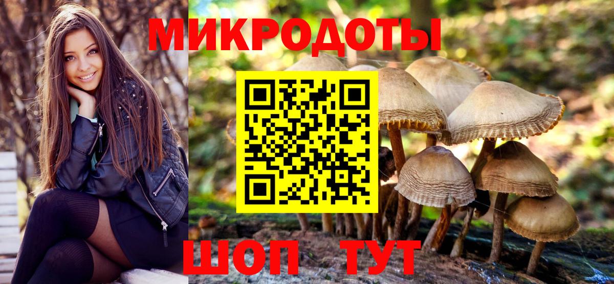 Псилоцибиновые грибы мицелий  Псилоцибиновые грибы Psilocybe  Кандалакша 