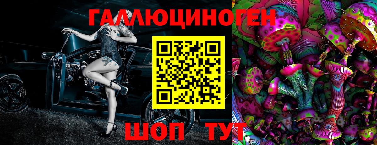 Галлюциногенные грибы Psilocybine cubensis  Псилоцибиновые грибы ЛСД  Вход с VPN  Кандалакша 