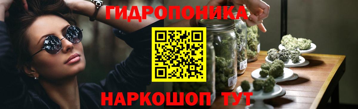 Бошки Шишки планчик Кандалакша